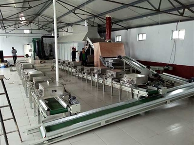 網(wǎng)帶式山楂片烘干機